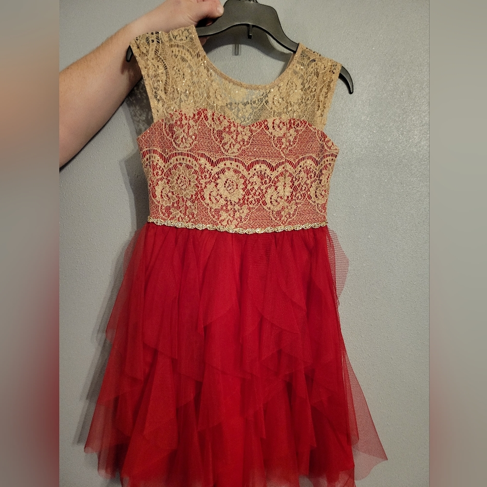 EUC Rare Editions dress